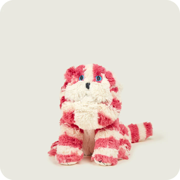 Warmies® Bagpuss® Γάτα - Image 7